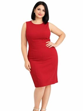 Kasper Plus Size 22W Cap Sleeve Princess Seam Dress NWT
